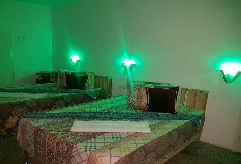 پانسیون Nap Apartment