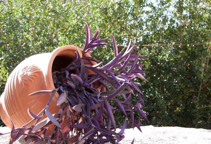 펜션 Sophia Areopoli Guesthouse