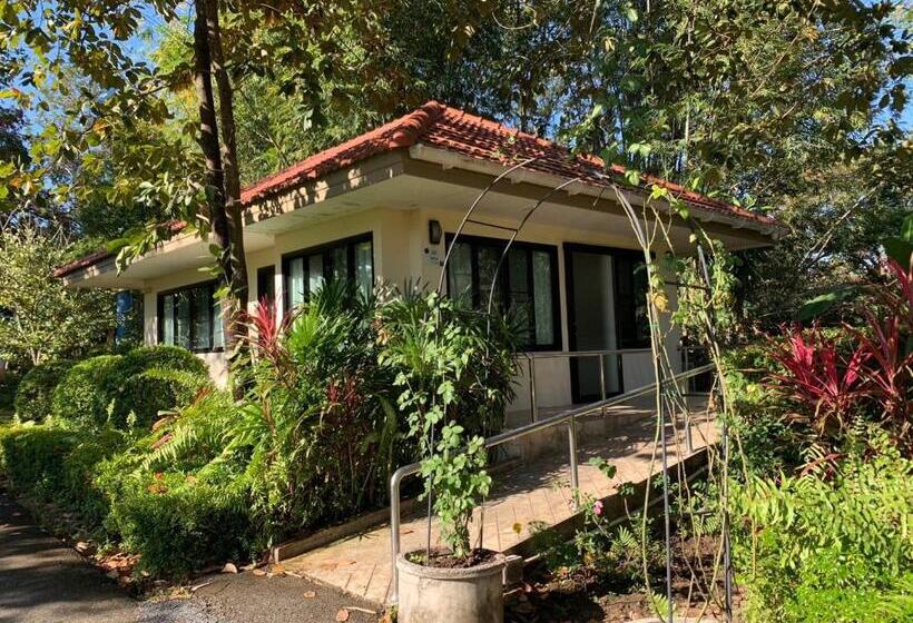 Baan Pingkan Wellness Resort