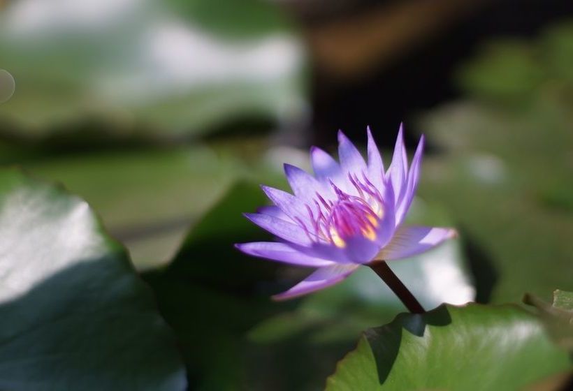 הוסטל Baan Rimtaling Guest House