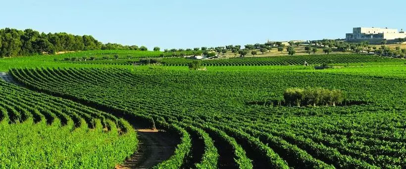 Hotelli Masseria Amastuola Wine Resort