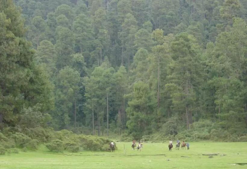 Hotelli Rancho Viejo