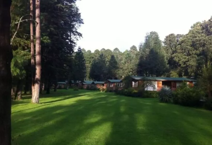 Hotelli Rancho Viejo