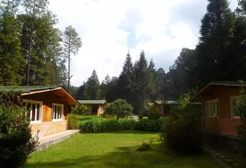 Hotelli Rancho Viejo