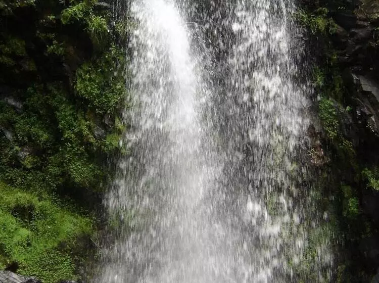 Hotelli Rancho Viejo