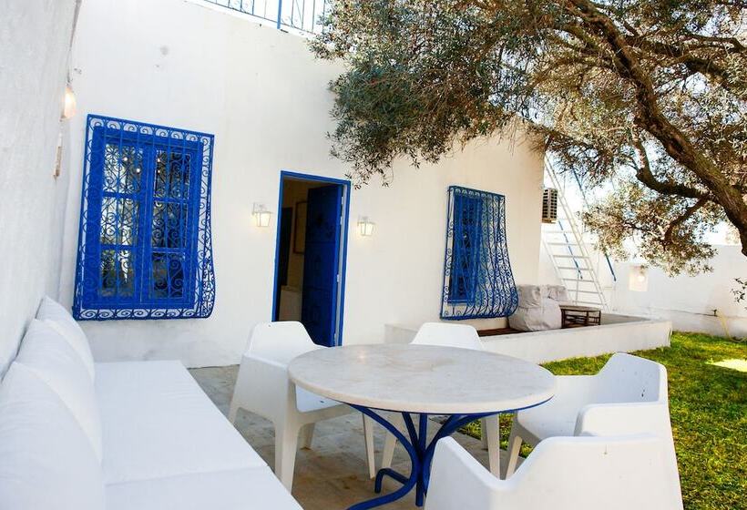 Les Jardins Du Phare De Sidi Bou Said