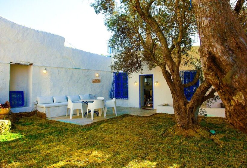 Les Jardins Du Phare De Sidi Bou Said