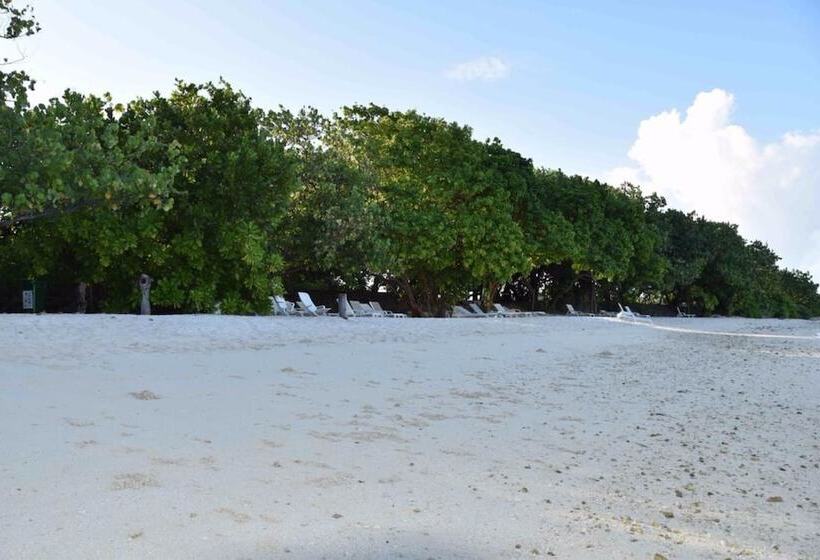 پانسیون Castle Inn