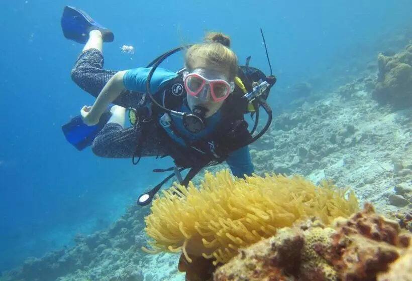 پانسیون Paguro Beach Inn