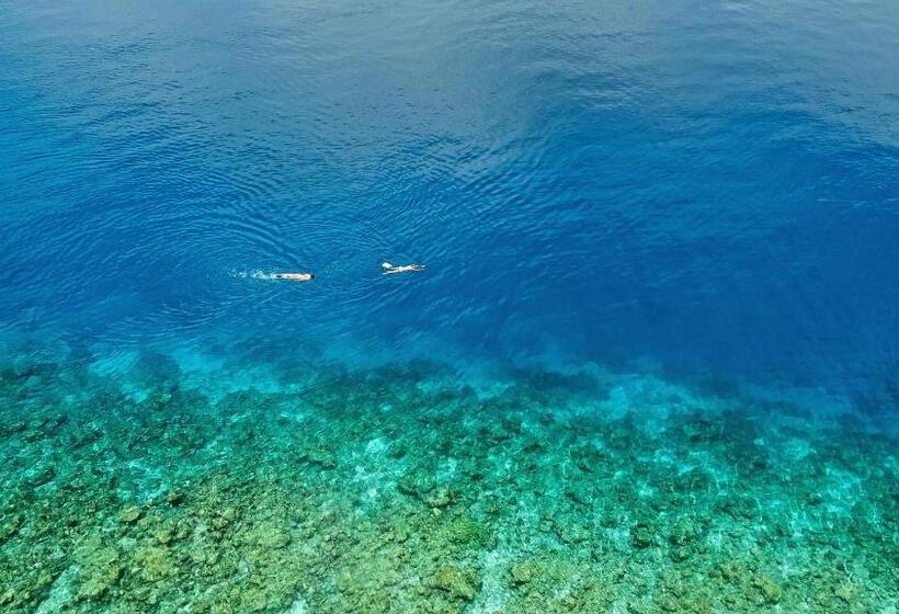 پانسیون Paguro Beach Inn