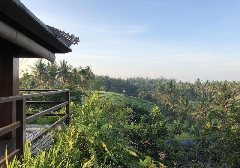 Пансион Soulshine Bali