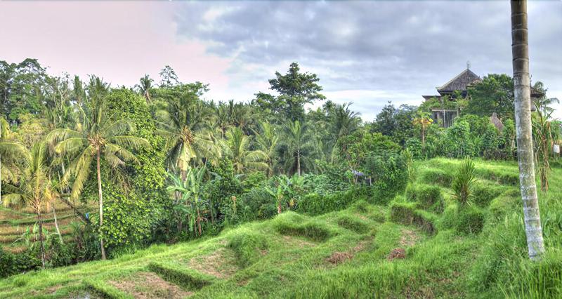 Пансион Soulshine Bali