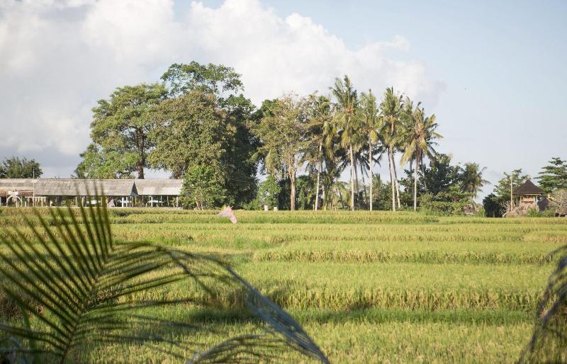 Пансион Soulshine Bali