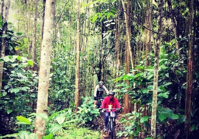 Пансион Soulshine Bali