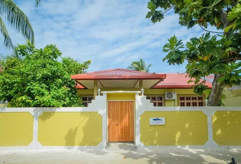 پانسیون Whale Shark Inn Maldives