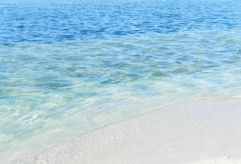 پانسیون Whale Shark Inn Maldives