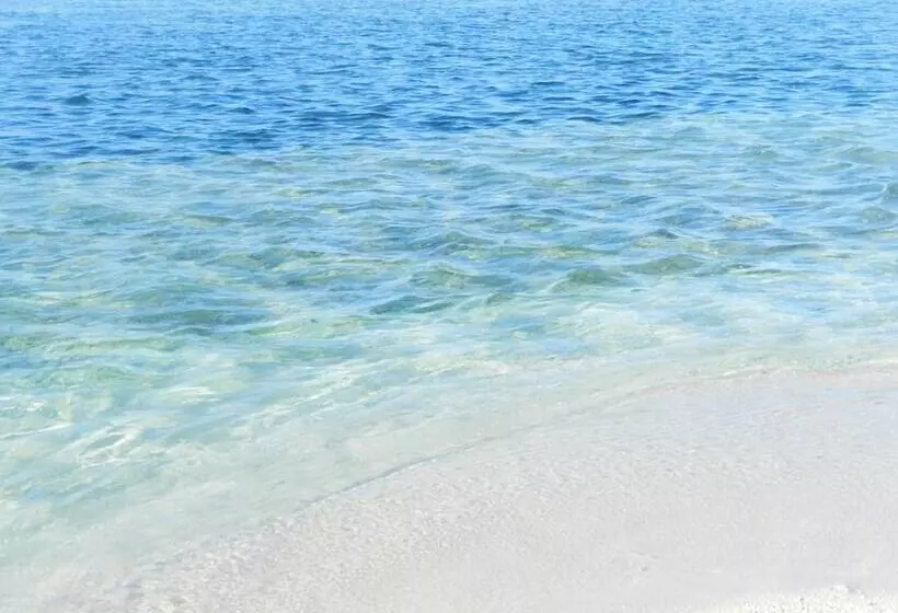 پانسیون Whale Shark Inn Maldives