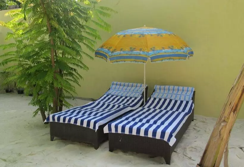 پانسیون Whale Shark Inn Maldives