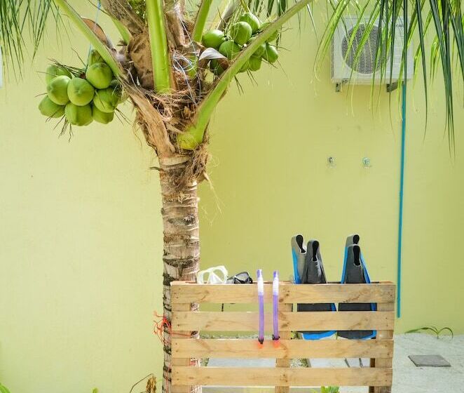 پانسیون Whale Shark Inn Maldives