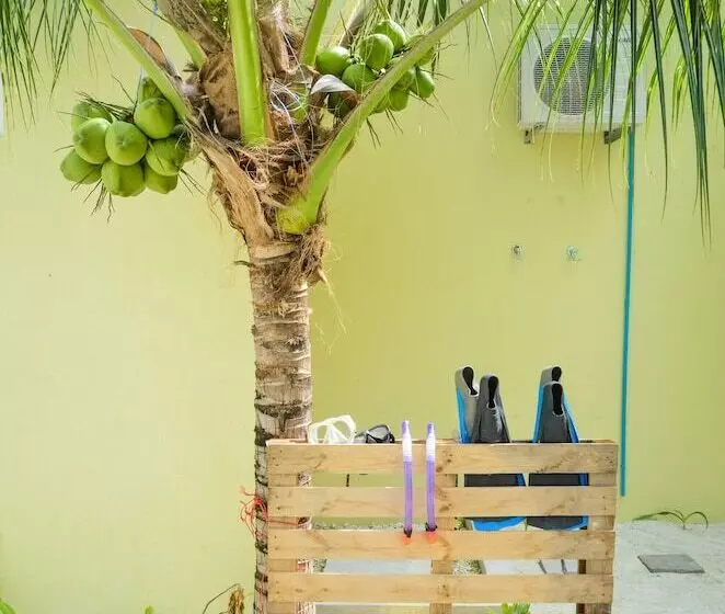 پانسیون Whale Shark Inn Maldives