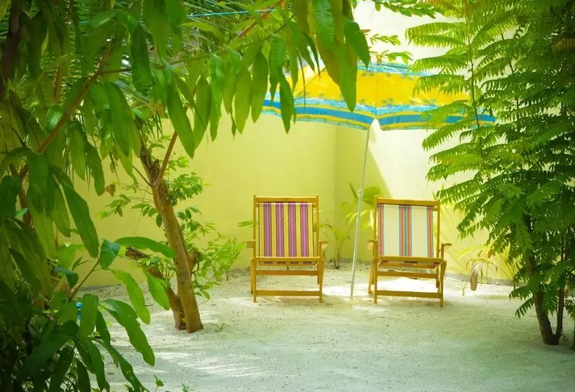 پانسیون Whale Shark Inn Maldives