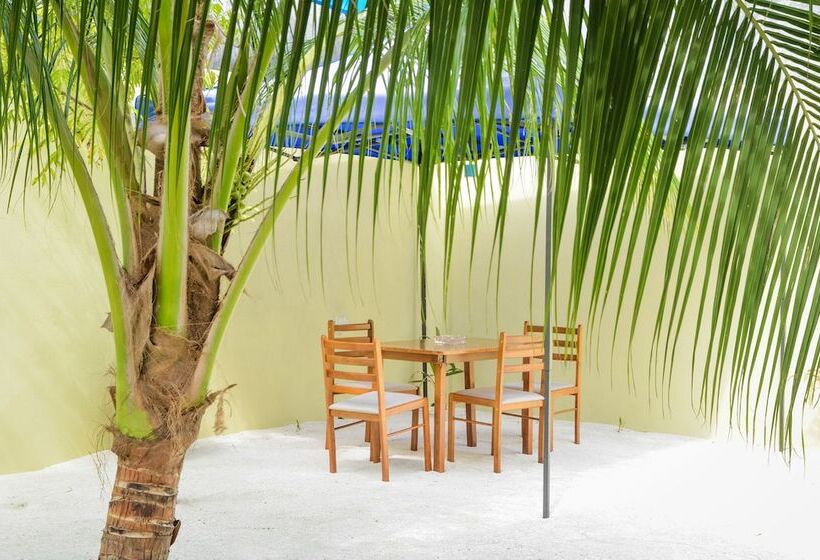 پانسیون Whale Shark Inn Maldives