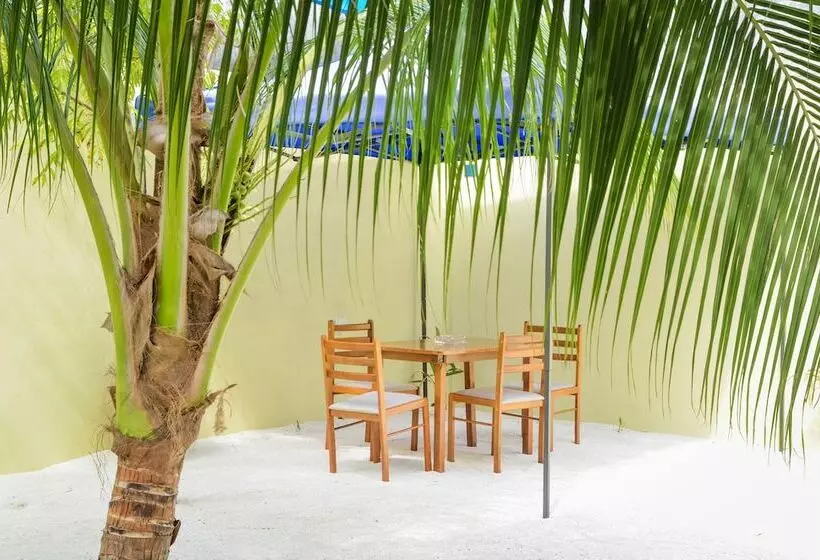 پانسیون Whale Shark Inn Maldives