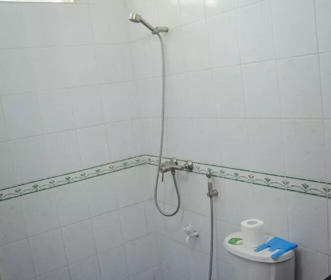 پانسیون Whale Shark Inn Maldives