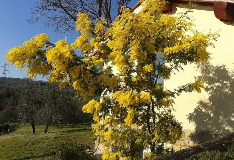 Hotelli Agriturismo Biologico Poggiopiano