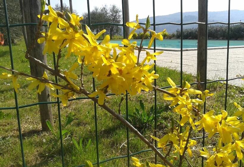 ホテル Agriturismo Biologico Poggiopiano