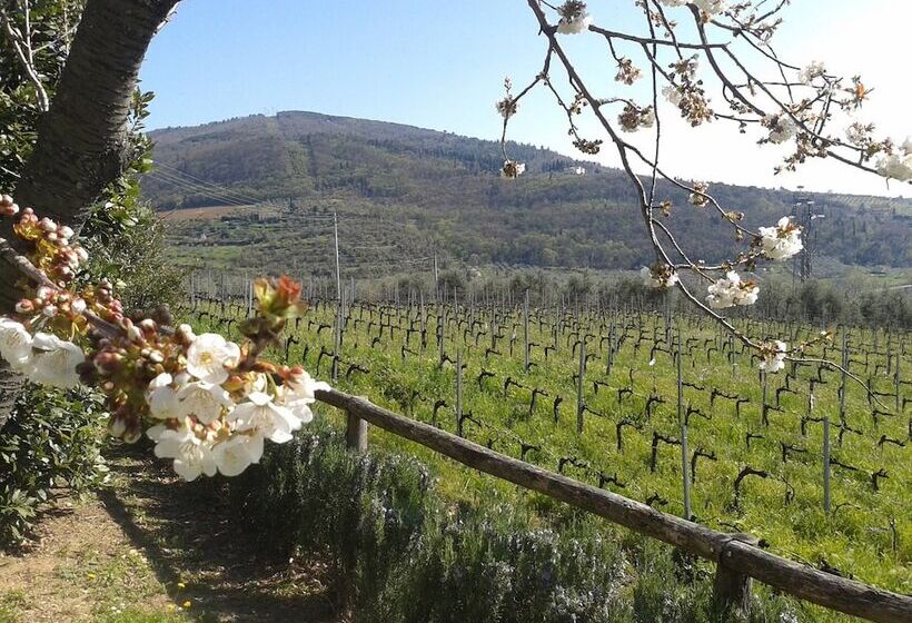 ホテル Agriturismo Biologico Poggiopiano