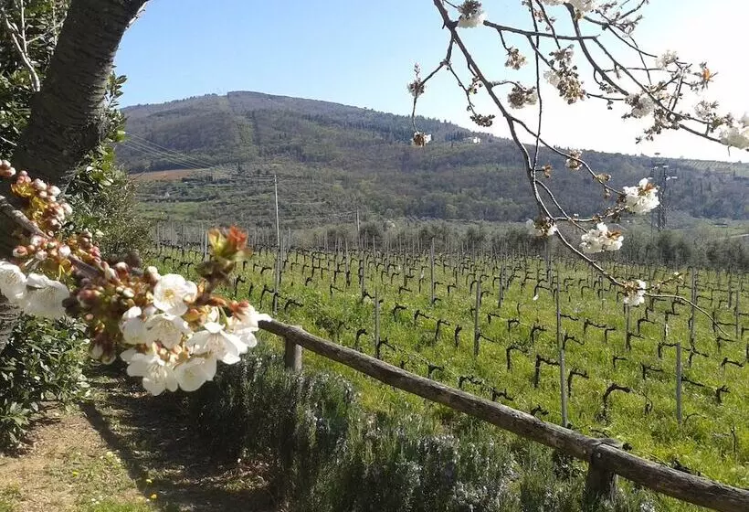 Hotelli Agriturismo Biologico Poggiopiano