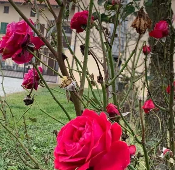 ホテル Agriturismo Cascina Mariale