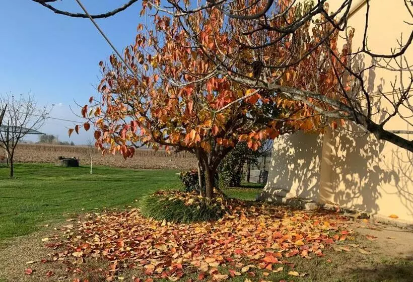 ホテル Agriturismo Cascina Mariale