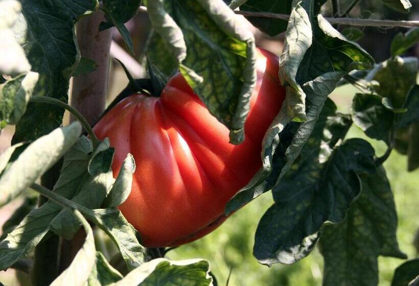 酒店 Agriturismo Cascina Mariale