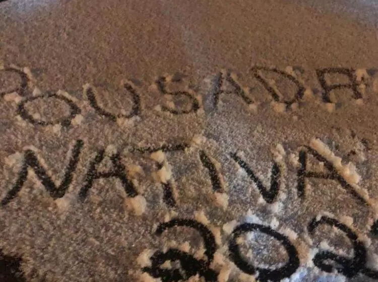 ホテル Pousada Nativa Lages