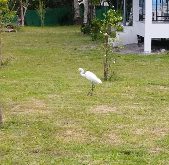 پانسیون Mr.yong Tour & Homestay