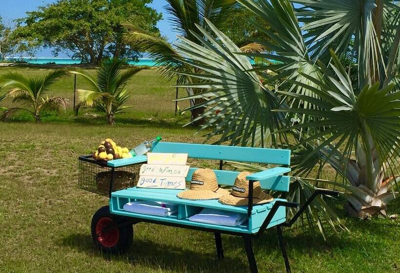 Pensão Poé Côté Lagon Beach Bungalows