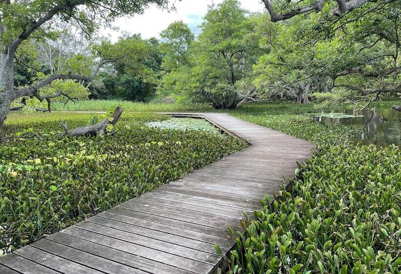 Pensão Poé Côté Lagon Beach Bungalows