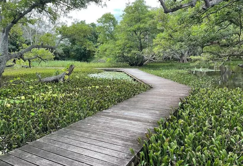 پانسیون Poé Côté Lagon Beach Bungalows