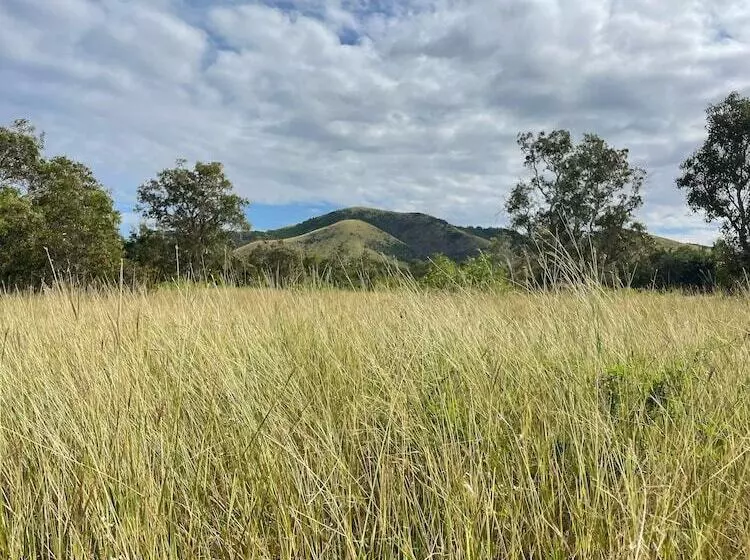 پانسیون Poé Côté Lagon Beach Bungalows