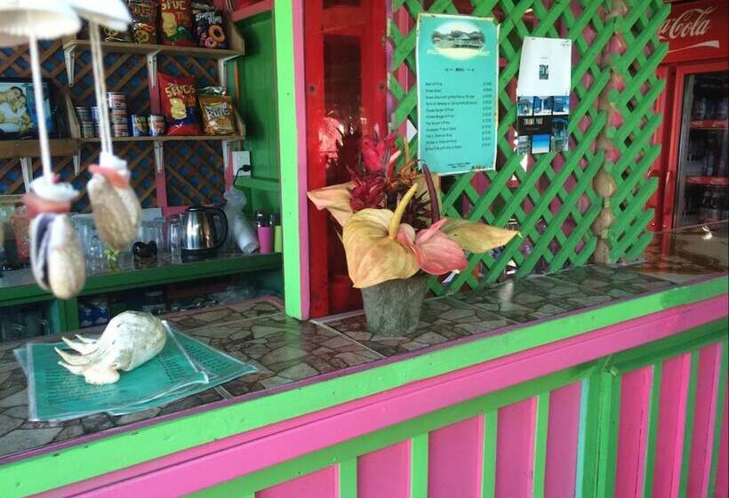 Отель Anita S Beach Bungalows Lalomanu