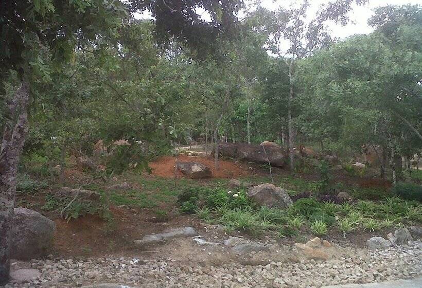 هتل Nora Valley Lodge