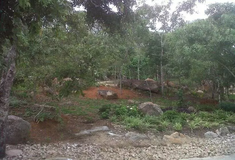 هتل Nora Valley Lodge