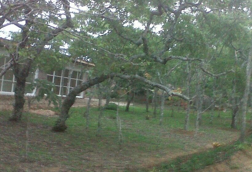 هتل Nora Valley Lodge