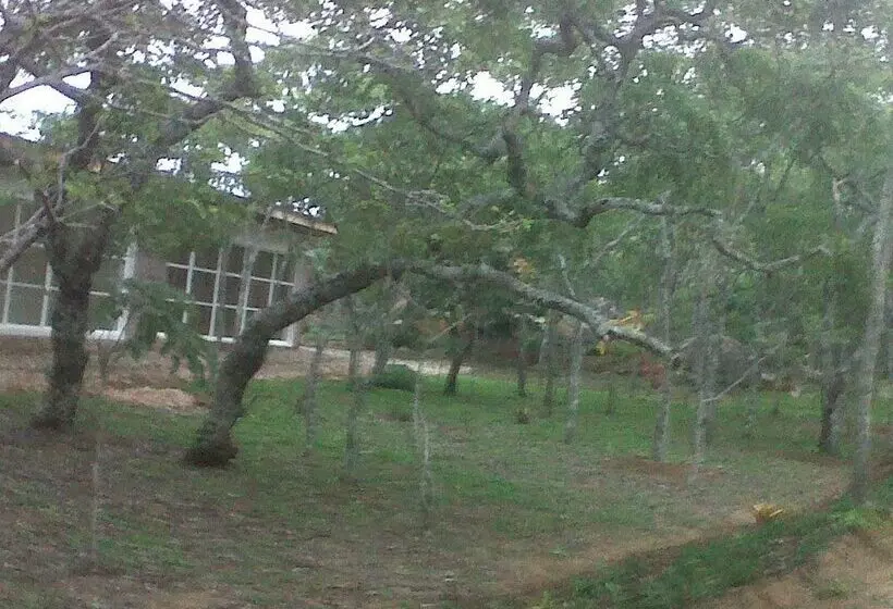 هتل Nora Valley Lodge