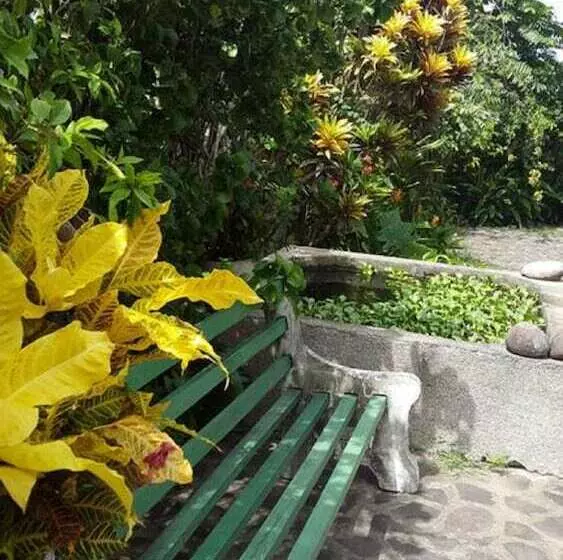 Majatalo Almond Tree Guest House