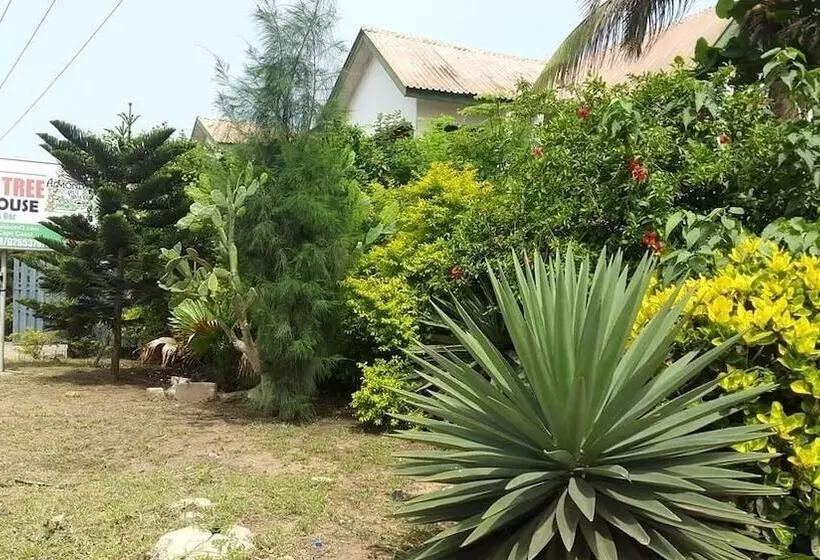 Majatalo Almond Tree Guest House