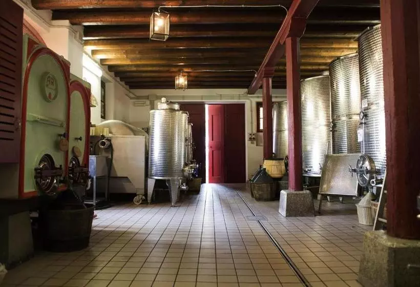 ホテル Casali Del Picchio   Winery
