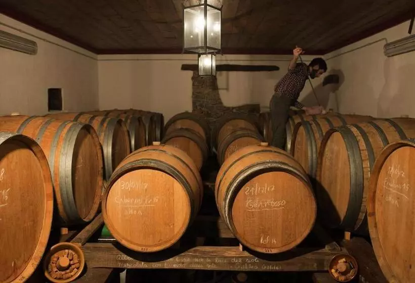 ホテル Casali Del Picchio   Winery